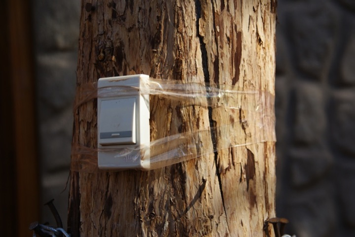 Electrical switch taped to the trunk of a tree.