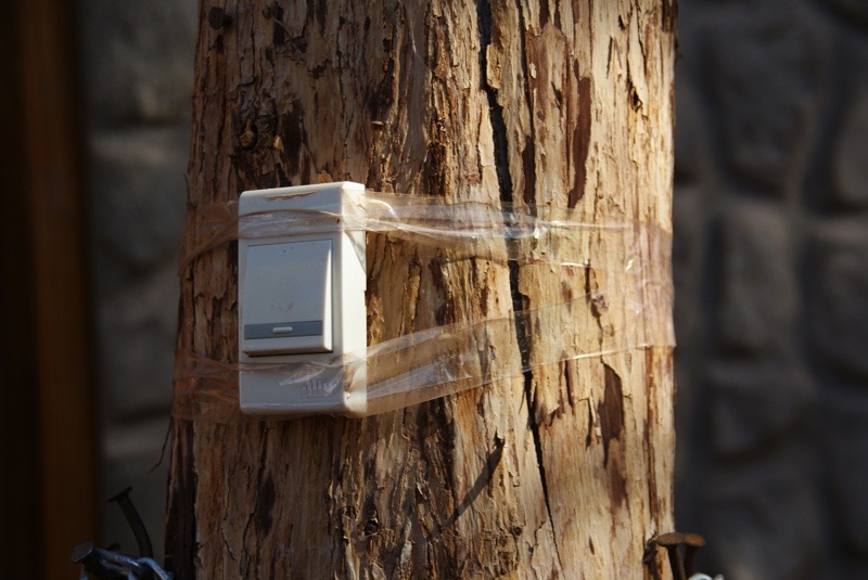 Electrical switch taped to the trunk of a tree.