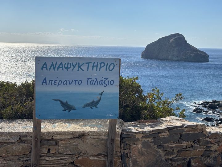 A hand-painted sign with Greek lettering and two dolphin illustrations in a coastal scene.