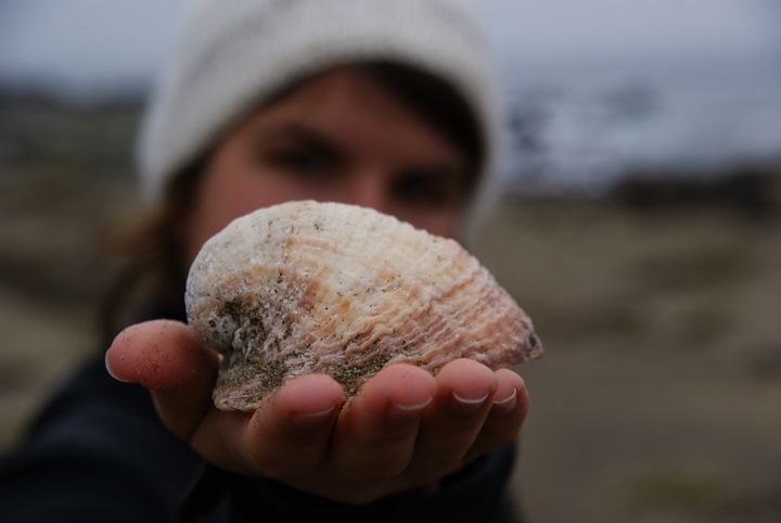A pale pink and cream seashell held out in an open hand, with a person wearing a light knit hat softly blurred behind it.